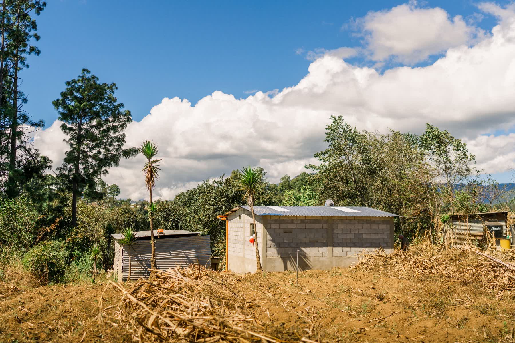 Guatemala with the Togetherness Collective
